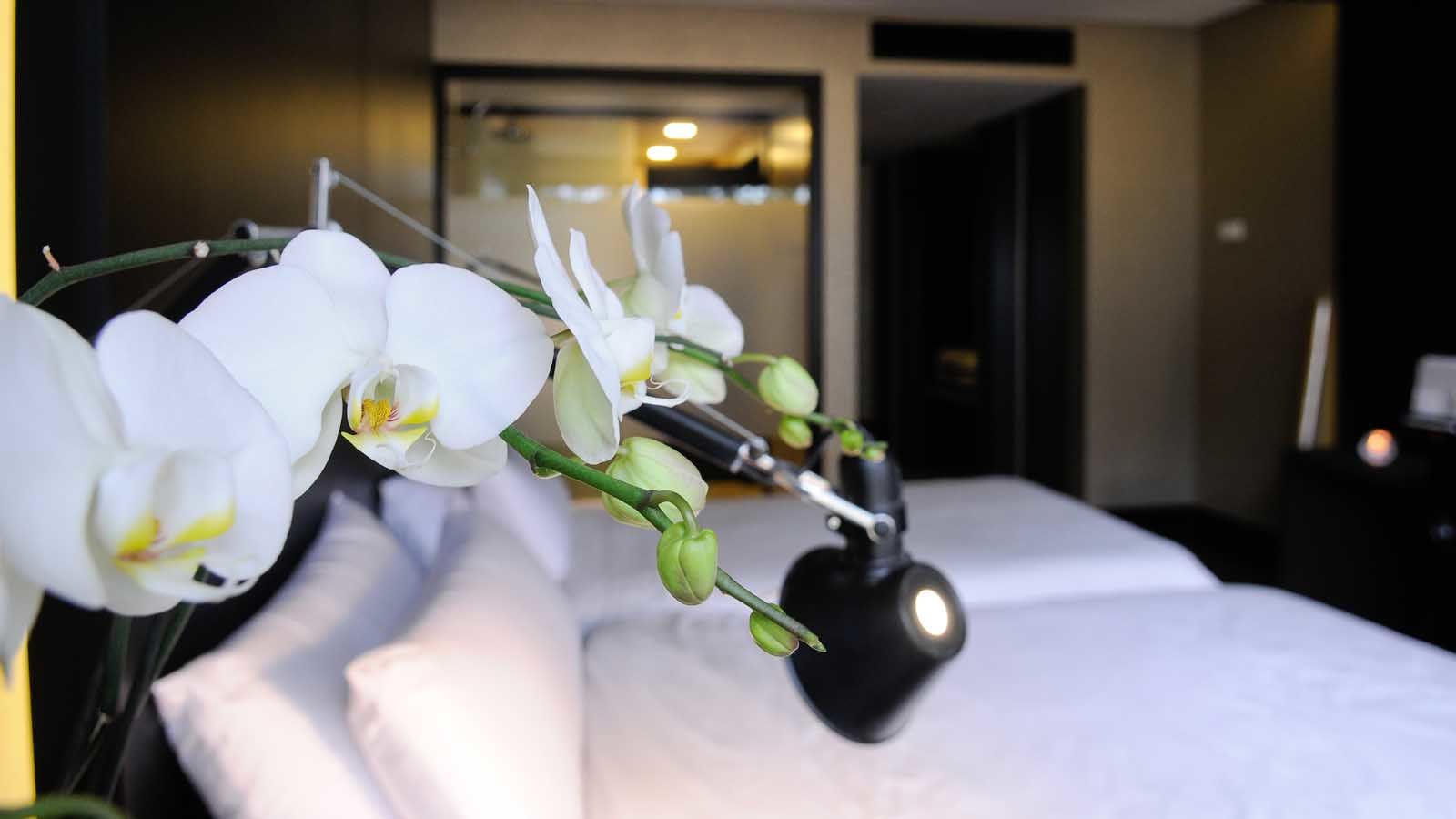 Evidencia Belverde Hotel アモーラ エクステリア 写真
